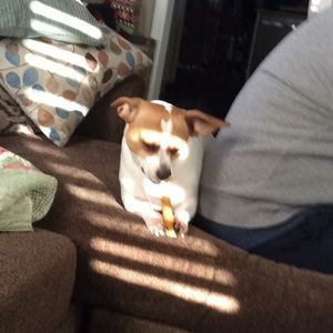 Meet your Posher, Roxanne